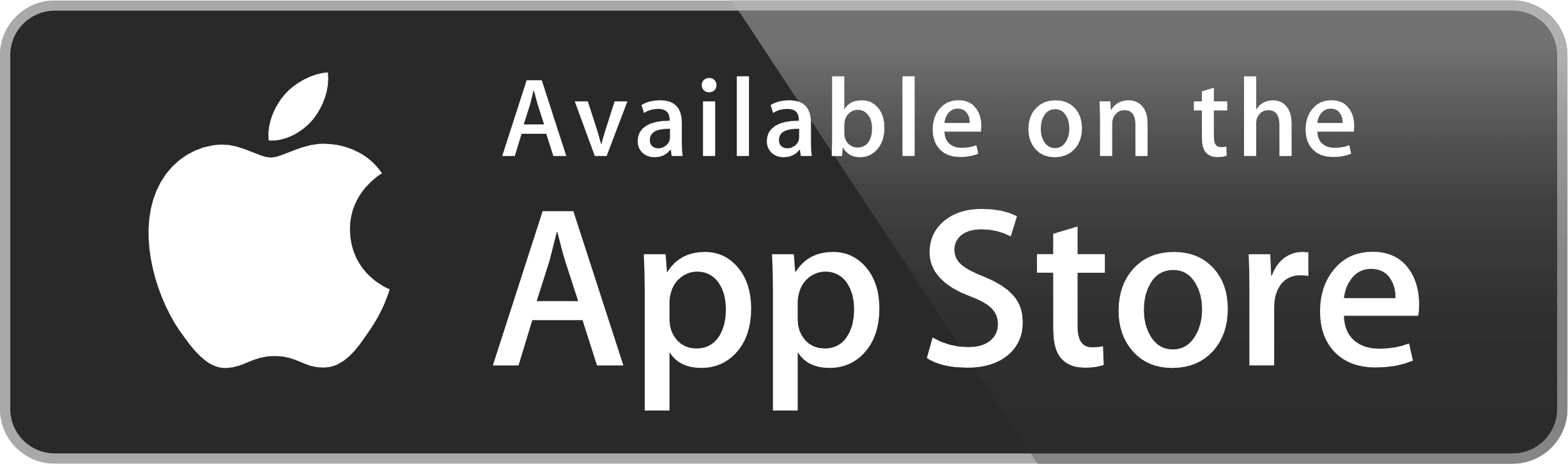 download on the app store 